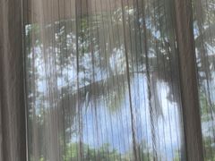 -逸廊大堂吧(三亚海棠湾万丽度假酒店)