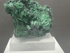 -重庆自然博物馆(新馆)
