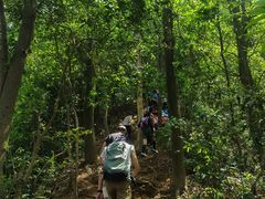 -黄埔油麻山森林公园