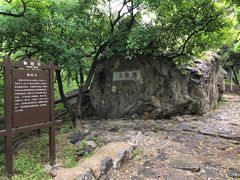 -阳台山自然风景区