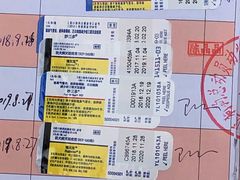 -总动员动物医院(宝丰院店)