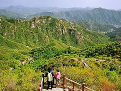 -大岭沟猕猴桃谷风景区