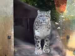 -青藏高原野生动物园