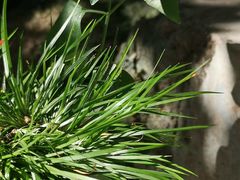 -行人小筑·茶馆(岑村火炉山分店)