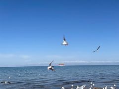-青海湖国家重点风景名胜区