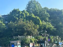 -定胜糕小店-蒋顺发