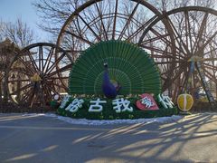 -呀路古热带植物园