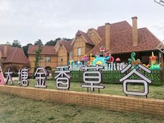 -大塘金香草谷