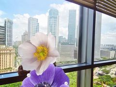 -广州富力君悦大酒店空中花园