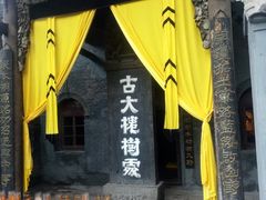 -大槐树寻根祭祖园
