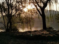 -苏堤停车场