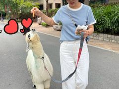 -灵玲国际马戏城