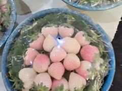 -海吉星市场