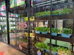 -番食园鲜食火锅(高新店)