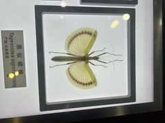 -上海昆虫博物馆