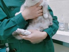 -仁华宠物医院(青羊店)