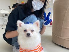 -怪兽屋·羊驼·猫咖·狗咖(俊华广场店)