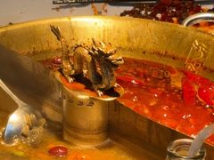 -小龙翻大江文化火锅(宽窄店)