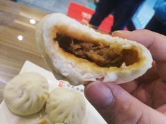 猪肉大葱包子-华天二友居肉饼(宫门口店)