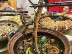 -台山第一家兴华黄鳝饭·黄鳝婆(开平店)