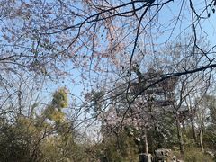 -武汉园博园(武汉自然博物馆)