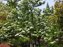 -南山风景名胜区