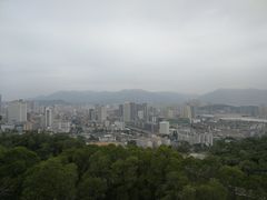 -金鸡山公园