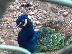 -南京金牛湖风景区