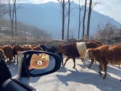 -太子岭滑雪场