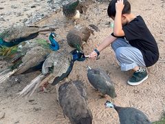 -鄂尔多斯野生动物园