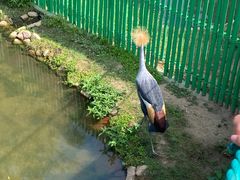-西霞口神雕山野生动物世界