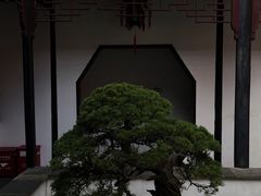 -拙政园