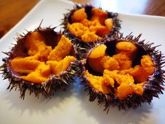 -海胆小馆(东北水饺·春柳店)