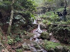 -莫干山风景区