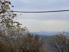-惠山国家森林公园