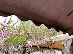 -玫瑰庄园·自助烧烤·烤全羊·团建拓展(龙泉山店)