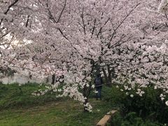 -苏州上方山国家森林公园
