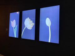 -上海当代艺术博物馆