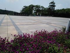 -东莞植物园