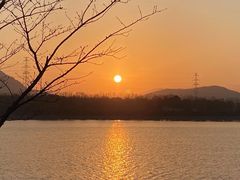 -羊山湖公园