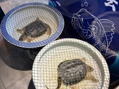 -文楼·淮扬菜·淮安早茶(河下古镇翔宇店)