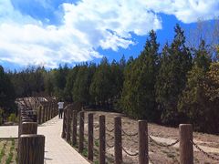 -白水寺森林公园