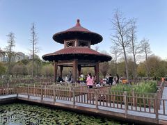 -五缘湾湿地公园