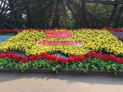 -呀路古热带植物园