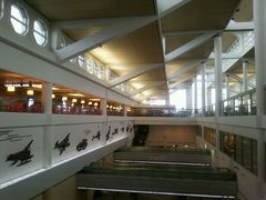 -厦门高崎国际机场-T3航站楼