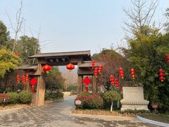 -习家池