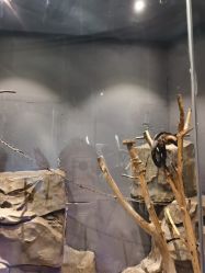 -未来动物城动物主题公园(大悦城店)