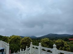 -中国石榴博物馆