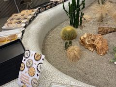 -OUR Bakery(SKP-S店)