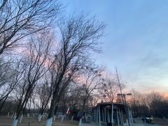 -西安浐灞国家湿地公园